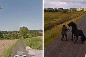 Google街景再創笑點！23張不小心被Google拍下來的動物照片，真的是太妙的巧合啦！