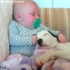 誰說它天性兇暴有攻擊性！？可愛比特犬與小baby每天朝夕相處共譜兩人甜蜜世界！