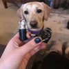 笑死我了！心臟不好的女生，不要養狗！