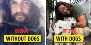 專家又來騙你養狗了，最新研究表明：養狗的人更容易幸福！