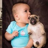 大型犬和小型犬，哪個更適合陪伴孩子成長？