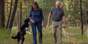 狗狗被雷聲嚇到跑丟，她毅然辭職，開始了長達57天的尋狗之旅！