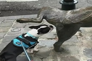 當一隻色狗偶遇一座雕像狗：「嘿，給虧嗎？」