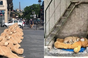 超暖！泰迪熊娃娃悄然佔領法國社區，世界瞬間感覺溫暖無比！