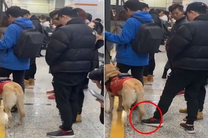 惡劣行徑引來全網批評！男子乘地鐵偶遇導盲犬，用腳踢狗後腿一臉壞笑！