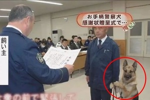 萌翻了！功勳警犬上台領獎，害羞地握住主人的手