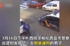 翻車了！西班牙網友外出遛「假狗」被警察逮住了！