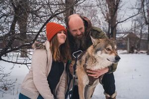 俄羅斯父女從野外撿回一條「狗」，養大後才發現：這好像是匹狼……