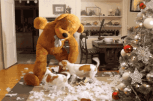 狗狗知識：家裡玩具堆成山！為什麼狗狗卻還是喜歡拆家？