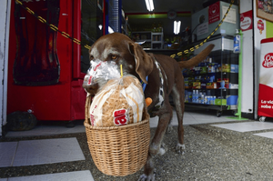 顧客呼叫了超市的「配送服務」，結果來了一隻狗！