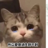 毛孩知識：快醒醒！毛孩靠吃飼料就能清潔口腔？這都是錯誤的！