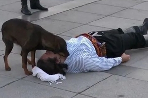 土耳其演員飾演傷者倒地，這時卻出現了一隻流浪狗…