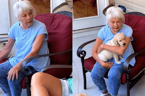 奶奶失去愛犬後悶悶不樂，家人送幼犬給她瞬間淚崩：「這麼久以來第一次痛哭...」