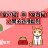 喵喵知識：「室外貓」與「室內貓」 之間的各種區別和最佳飼養方式