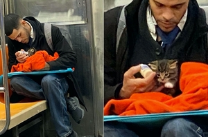 紐約地鐵上一名男子溫柔的幫小貓餵奶，照片一上網路迅速爆紅：「重新再次相信人性本善」