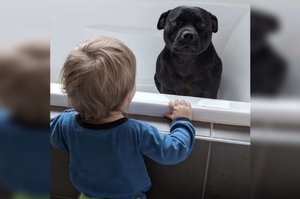 狗狗「每天晚上」都跑去鄰居家串門子，只為了能跟鄰居小孩一起「泡澡澡」