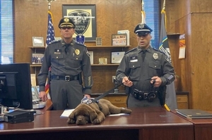 全美最懶警犬！因為在「授證儀式直播」呼呼大睡，警局尷尬「辭退」牠：「比較適合做治療犬」