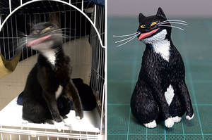 無法相信自己的眼睛！日本藝術家巧妙將搞笑動物照化成「令人噴飯」的雕刻品