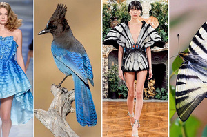 時尚與動物的完美結合！10套華麗時裝靈感來自奇幻的自然世界