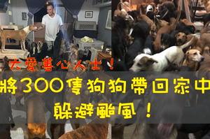 「收容所擋不住颱風！」一名愛狗善心人士決定將300隻狗狗帶回家避難！