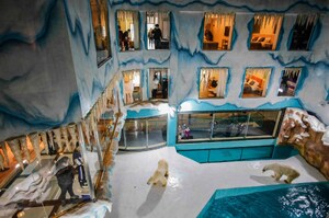 毫無「熊」權可言！北極熊成為一家上海飯店展示品，官方宣布所有21間客房能全天候觀賞北極熊