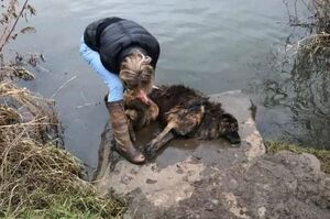 「沒打算讓牠活？」一隻德國狼犬遭主人丟棄河中，腳上還綁著一塊大石頭！