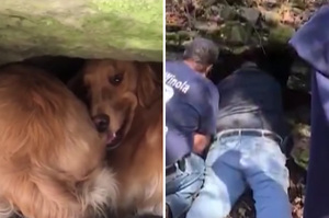 「馬麻來救你了！」黃金獵犬受困岩石下失蹤，狗媽媽急帶主人與警消救援 
