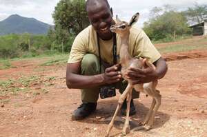 「根本行動仙人掌！」長頸羚是大自然的奇蹟，在炎熱的地區生活竟然「都不用喝水」