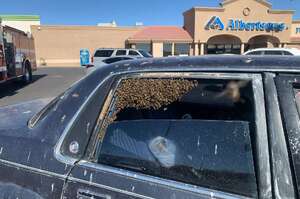 「就決定在這裡築巢了！」一名男子前往超市買東西，回來後竟然發現車子已經被蜜蜂佔領成「蜂窩」