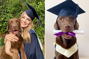 「姐姐我也要跟妳一起畢業！」愛狗一家幫狗狗拍畢業照頒發「好狗狗證書」超溫馨