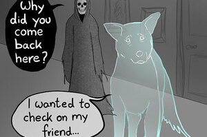 「我會回來，看看你過得好不好。」德國畫家用漫畫呈現寵物去世後回來探望主人的場景，惹哭全球網友！