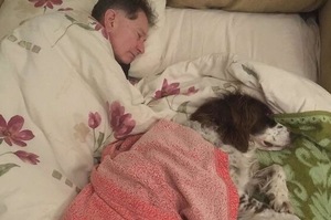 「親情的模樣」原本反對女兒養狗的爸媽卻主動陪毛小孩睡沙發，背後窩心故事超催淚