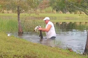 74歲阿伯為救下愛犬與徒手掰開鱷魚嘴，讓網友驚呼「這就是愛的偉大！」