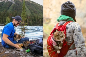 「我的生活，你的夢想」加拿大三隻愛探險的貓咪，每天盡情爬山、玩皮划艇、坐雪橇