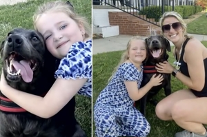 「我可以摸摸你的狗嗎？」6歲小女孩在父親的喪禮上，被好心人的狗狗治癒傷痛
