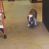 「偶看不到偶看不到(￫ܫ￩」害怕黃色電線的小鬥牛犬，最後竟用一招超「天才」的方式度過難關