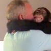 【你們來看我啦！】 黑猩猩被把拔馬麻的到來嚇得吐出飲料，回過神後馬上「抱緊處理」！
