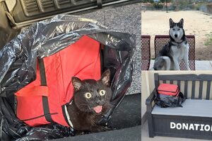 「馬麻快救救牠！」機靈哈士奇強拉主人查看「可疑塑膠袋」打開驚見黑貓受困