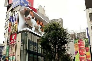 東京出現的廣告牌 「讓鏟屎官想起了被喵星人支配的恐懼！」，栩栩如生的畫面讓人大贊過癮！