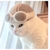 貓主子滿地掉毛怎麼辦？日本夫婦創意無限，3隻萌貓被迫「自己的毛自己戴」