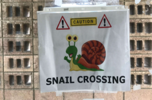 擔心蝸牛生命安全女士自製「蝸牛告示牌」提醒他人千萬別踩到可愛的小蝸牛！