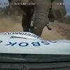 不要惹大象生氣！男貨運司機連遭野生大象撞擊，當下可怕的經歷讓他直呼「我還以為我要死了！」