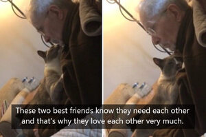 貓咪貼心陪伴患有阿茲海默症的老爺爺，他們成為彼此最好的「朋友」！