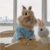 你有看過愛走秀的兔子嗎？馬上為你揭秘兔子界裡的「時尚教主」--兔兔米菲！