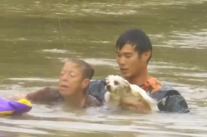 眼見車子被洪水吞噬，英勇暖男跳入水中救出了女駕駛，並再回頭救出駕駛的愛犬！