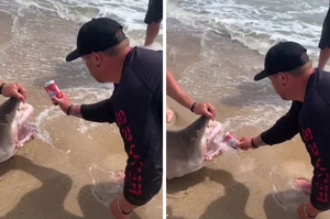 漁民利用鯊魚的牙齒撬開自己的啤酒後遭受猛烈抨擊，網友大怒：把海中霸主當開瓶器？