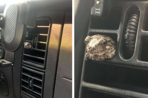 情侶在開車回家的路上遇上搭便車的小青蛙，誰知小青蛙不慌不忙地表示：目的地到了偶就下車ok？