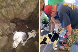 狗狗困9公尺深山洞兩星期「瘦成皮包骨」獲救開心與家人團聚：等你們好久了！