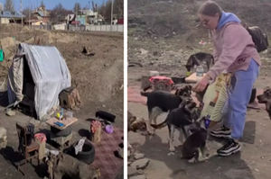 汪星人救援行動最終形態！街友親自出面，憑藉自己的能力撫養起30隻流浪狗！