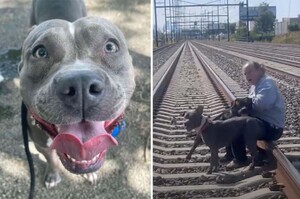 狗狗被棄鐵道！愛媽及時出現「一把拉走」驚險躲過火車：無論如何都要救牠
